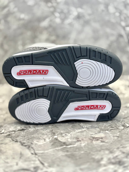 Air Jordan 3 Retro "Cool Grey"