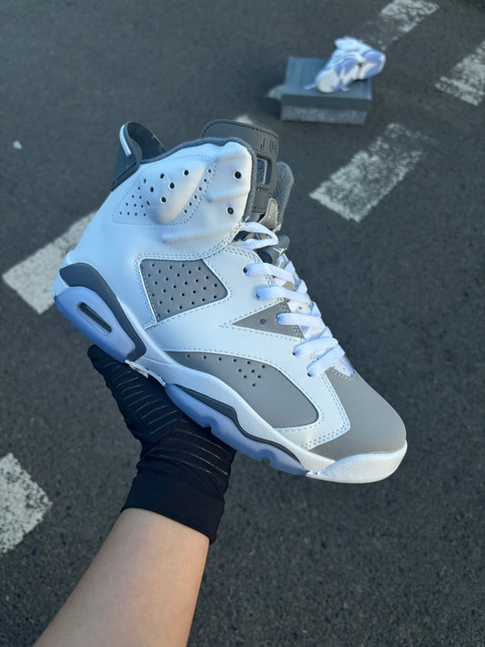 Air Jordan 6 Retro "Cool Grey"