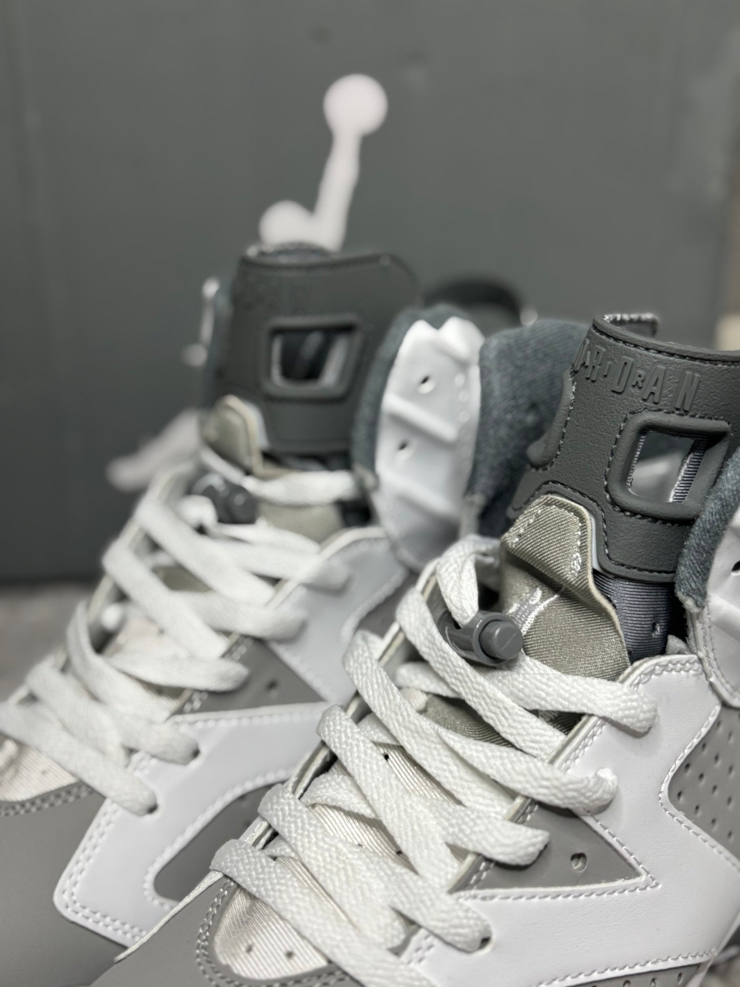 Air Jordan 6 Retro "Cool Grey"