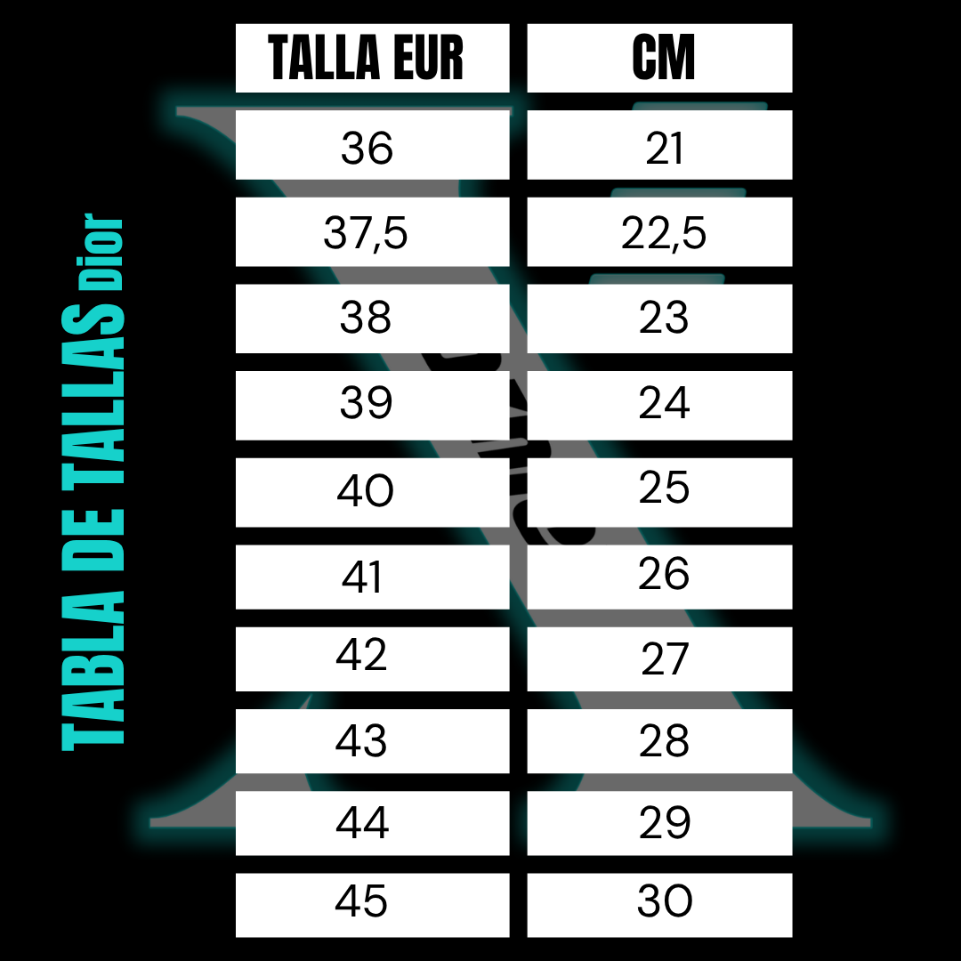 Dior B22 Black/Silver