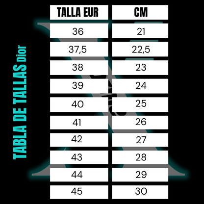 Dior B22 Black/Silver