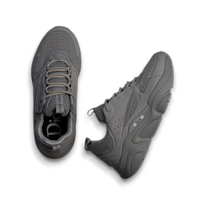 Dior B22 Gray