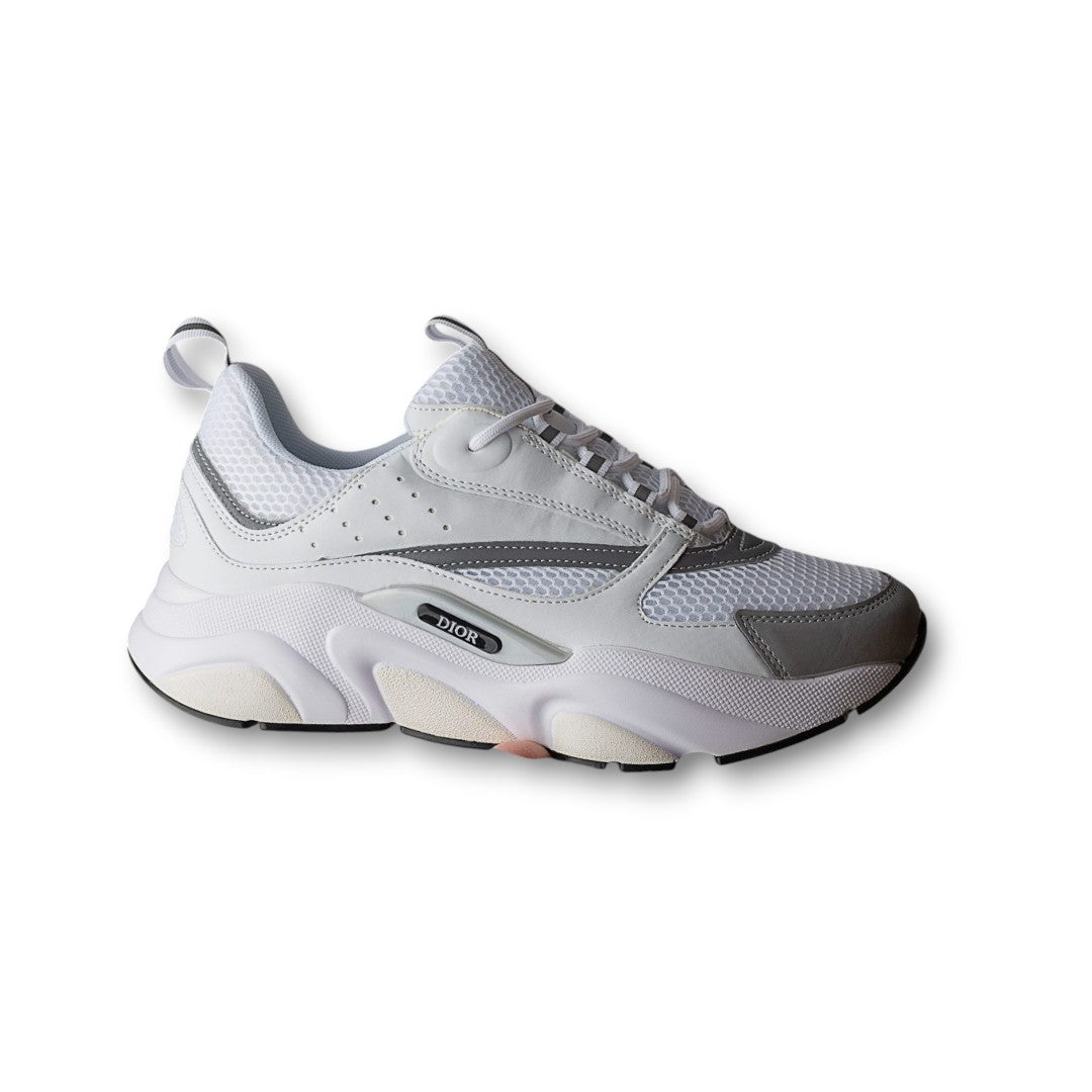 Dior B22 White/Gray