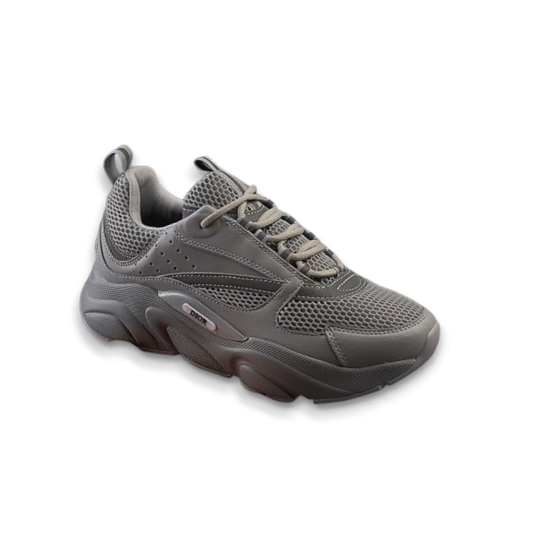Dior B22 Gray