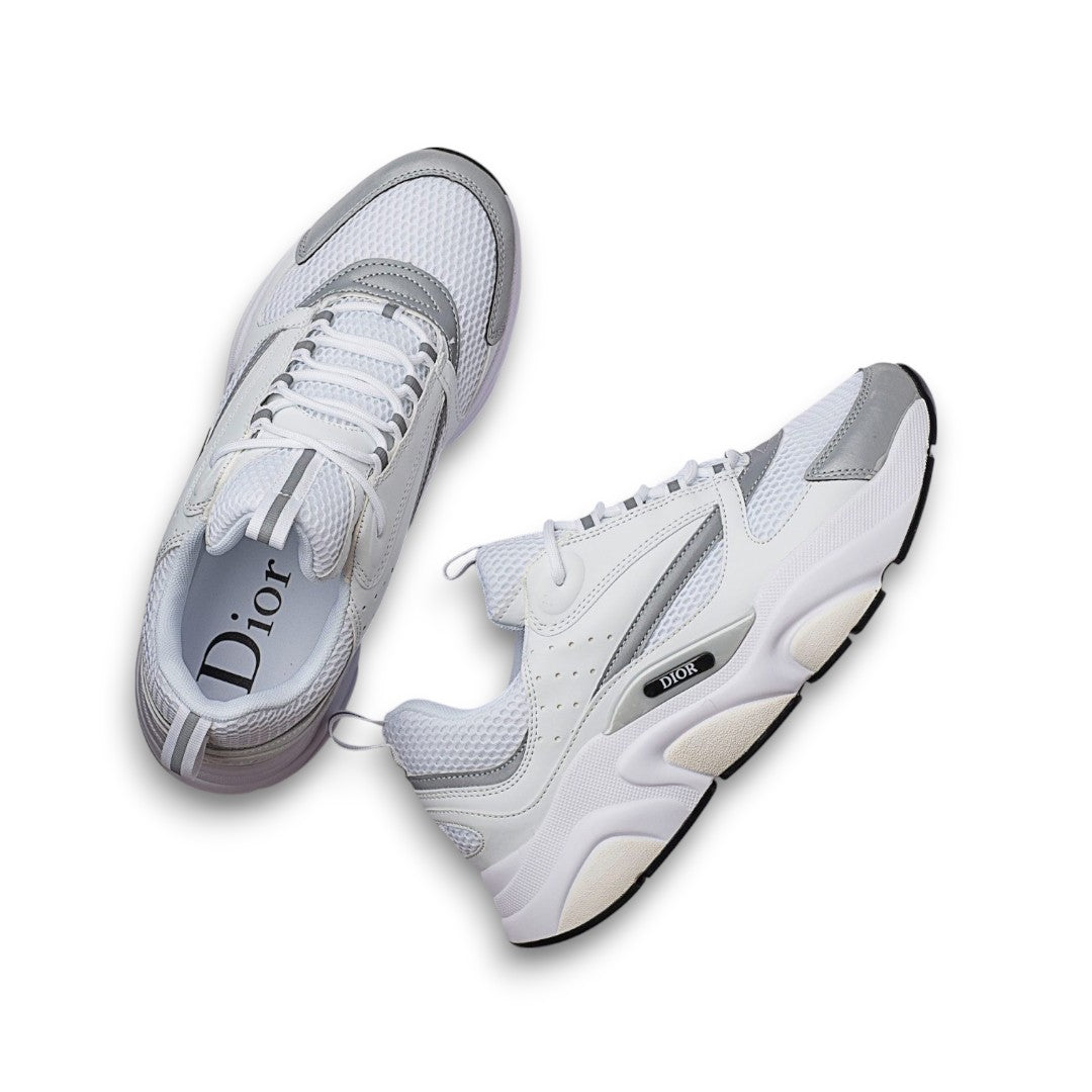 Dior B22 White/Gray