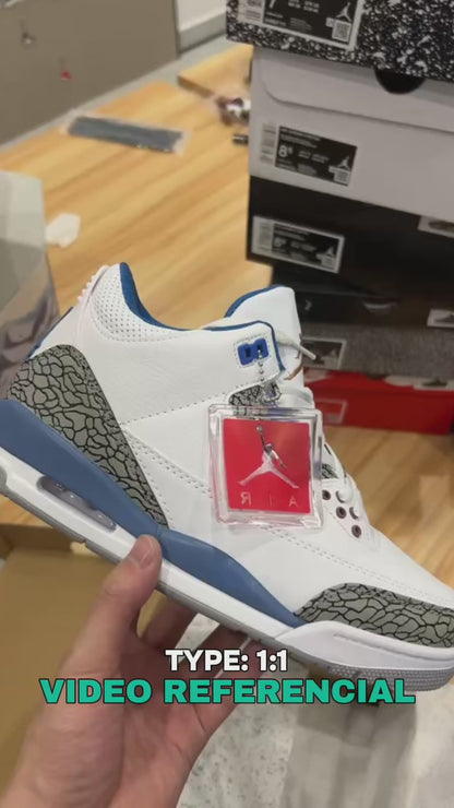 Air Jordan 3 Retro "Wizards"