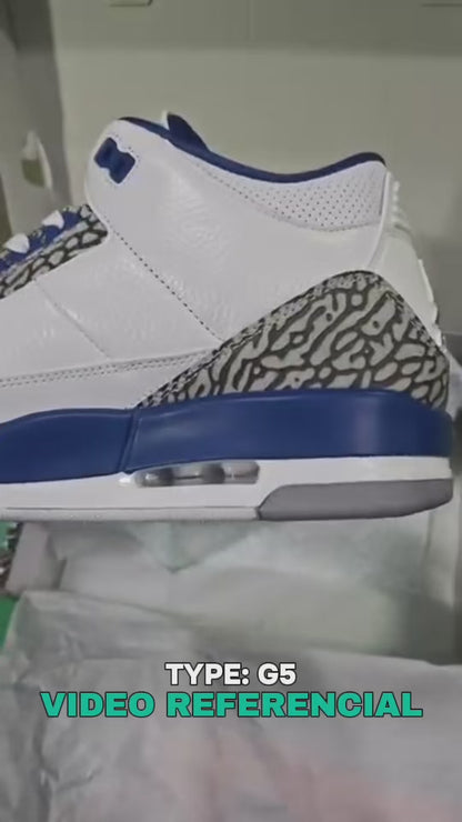 Air Jordan 3 Retro "Wizards"